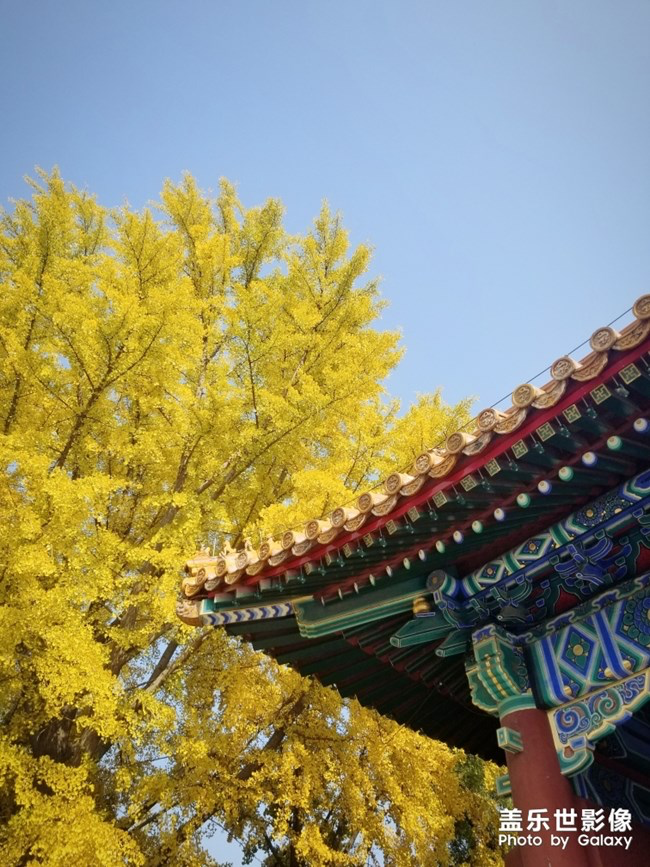 【每周星鮮事】第11期：什么才是你認為的暖胃好食呢？