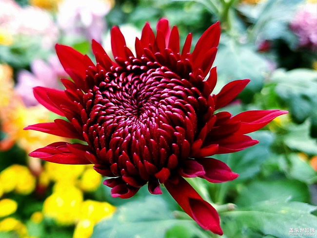 【每周星鮮事】第11期：什么才是你認為的暖胃好食呢？