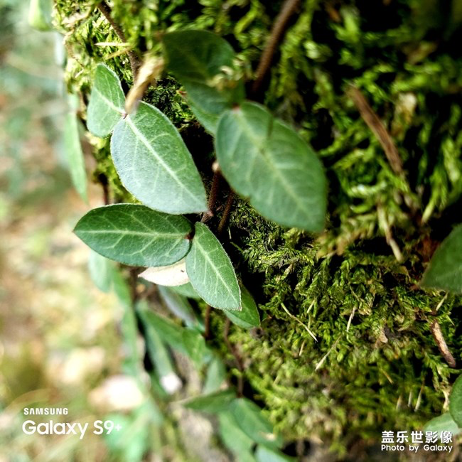 【每周星鮮事】第11期：什么才是你認為的暖胃好食呢？