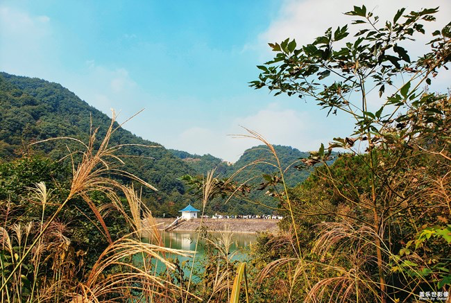 【每周星鮮事】第11期：什么才是你認為的暖胃好食呢？