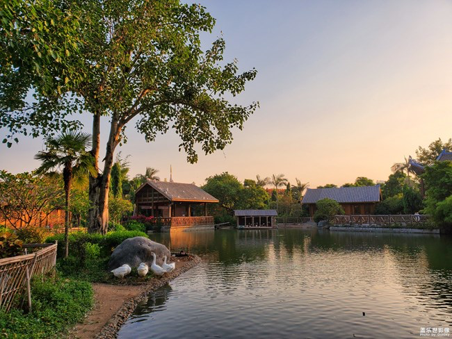 【每周星鮮事】第11期：什么才是你認為的暖胃好食呢？