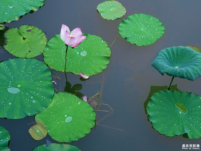 【每周星鮮事】第11期：什么才是你認為的暖胃好食呢？