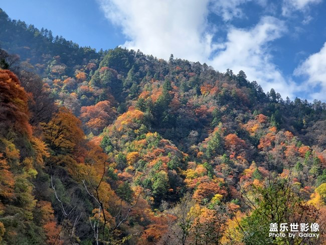 【每周星鮮事】第11期：什么才是你認為的暖胃好食呢？