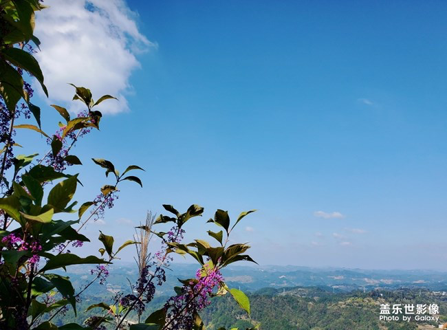 【每周星鮮事】第11期：什么才是你認為的暖胃好食呢？