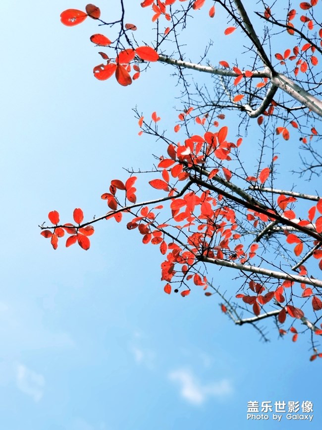 【每周星鮮事】第11期：什么才是你認為的暖胃好食呢？