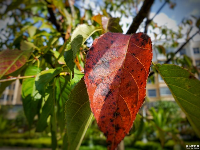 【每周星鮮事】第11期：什么才是你認為的暖胃好食呢？