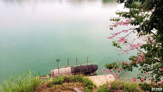 【每周星鮮事】第11期：什么才是你認為的暖胃好食呢？