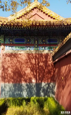 【我的城】北平的秋