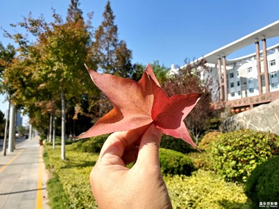 闊別多年，再相遇，北方的秋天，依然美麗至極！