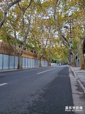 尋秋