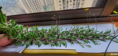 【我的城】+樓頂秋色