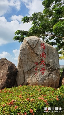 海南大學(xué)一角