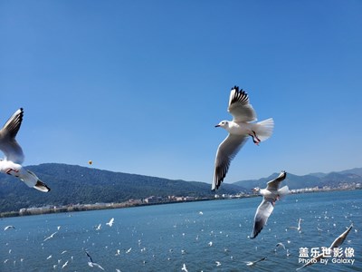 飛天