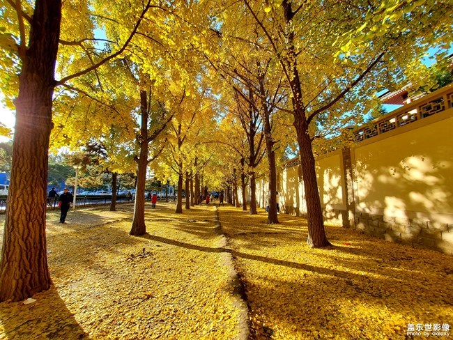 【每周星鮮事】第12期： 三星W20 5G 即將發(fā)布