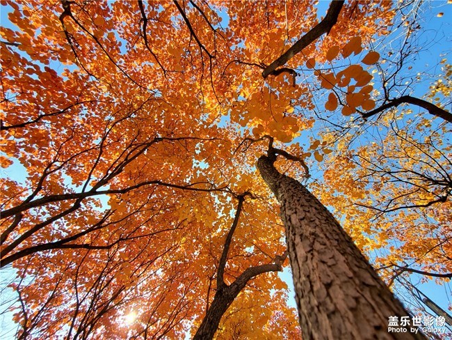 【每周星鮮事】第12期： 三星W20 5G 即將發(fā)布