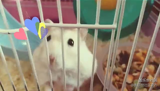 【每周星鮮事】第12期： 三星W20 5G 即將發(fā)布