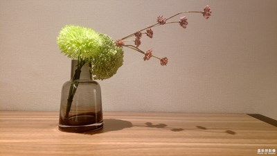 【倒影】關(guān)于倒影的雜片