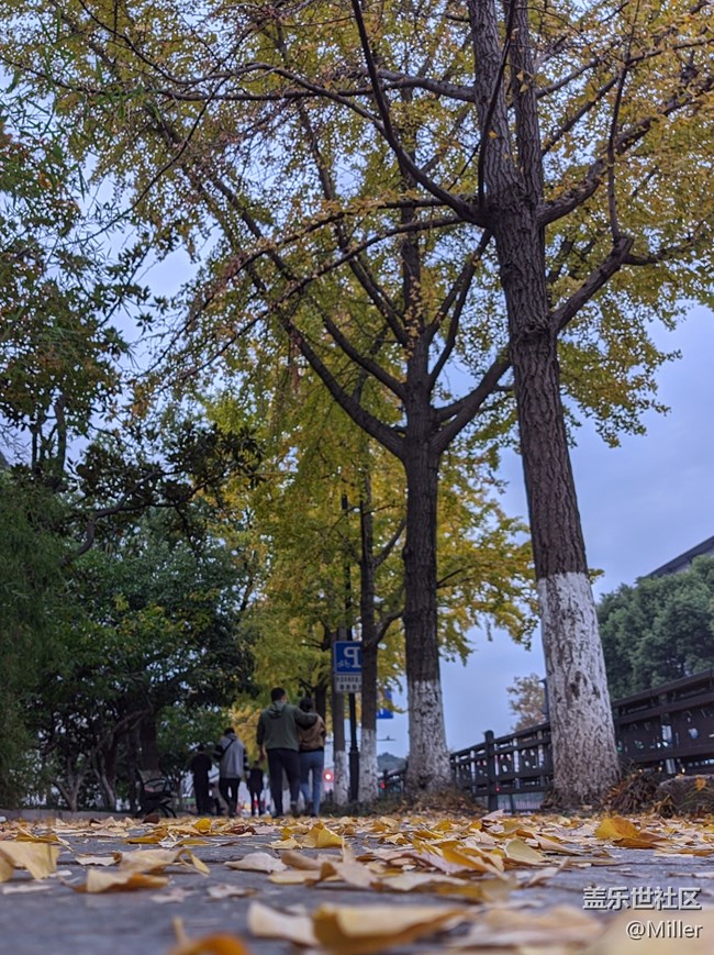 陶藝創(chuàng)作DIY