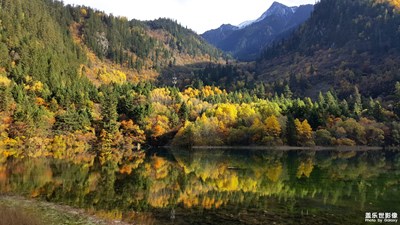 【倒影】-手機(jī)里的倒影