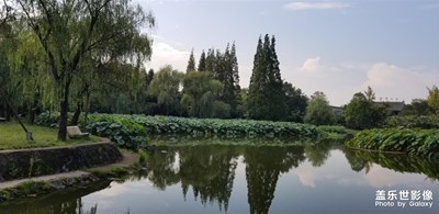 【倒影】+廣漢三星堆