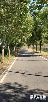 【藏龍島濕地公園】武漢的冬季依然常綠