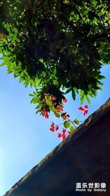 廈門
