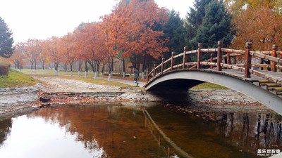 【倒影】+時(shí)光印記