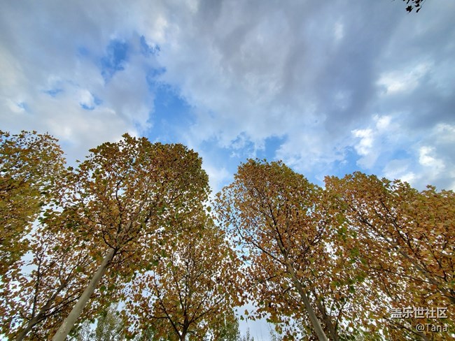 【Galaxy Note10系列星粉體驗(yàn)活動(dòng)】差距不是一星半點(diǎn)哦