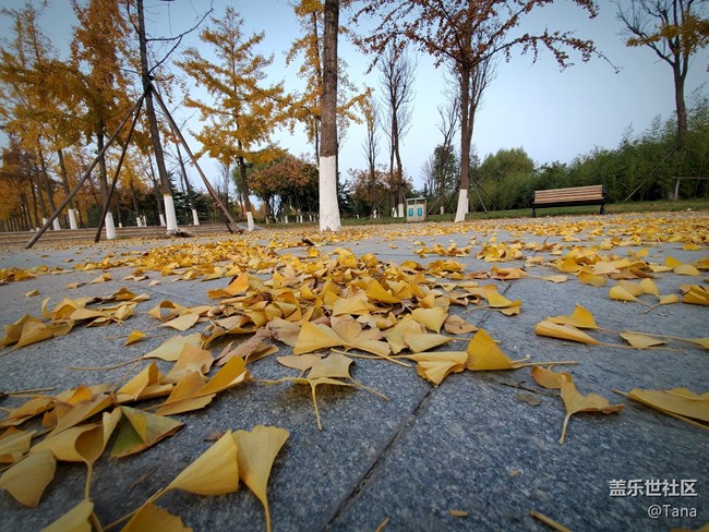 【Galaxy Note10系列星粉體驗(yàn)活動(dòng)】差距不是一星半點(diǎn)哦