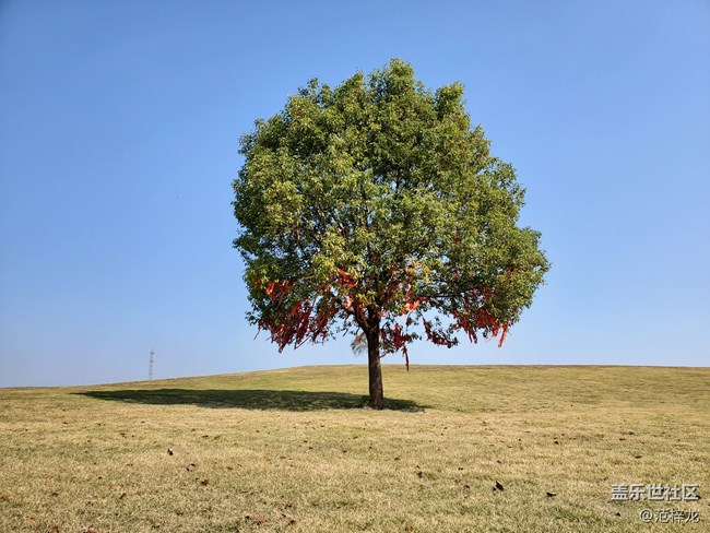 【Galaxy Note10系列星粉體驗活動】寬闊方寸間，海納您視界