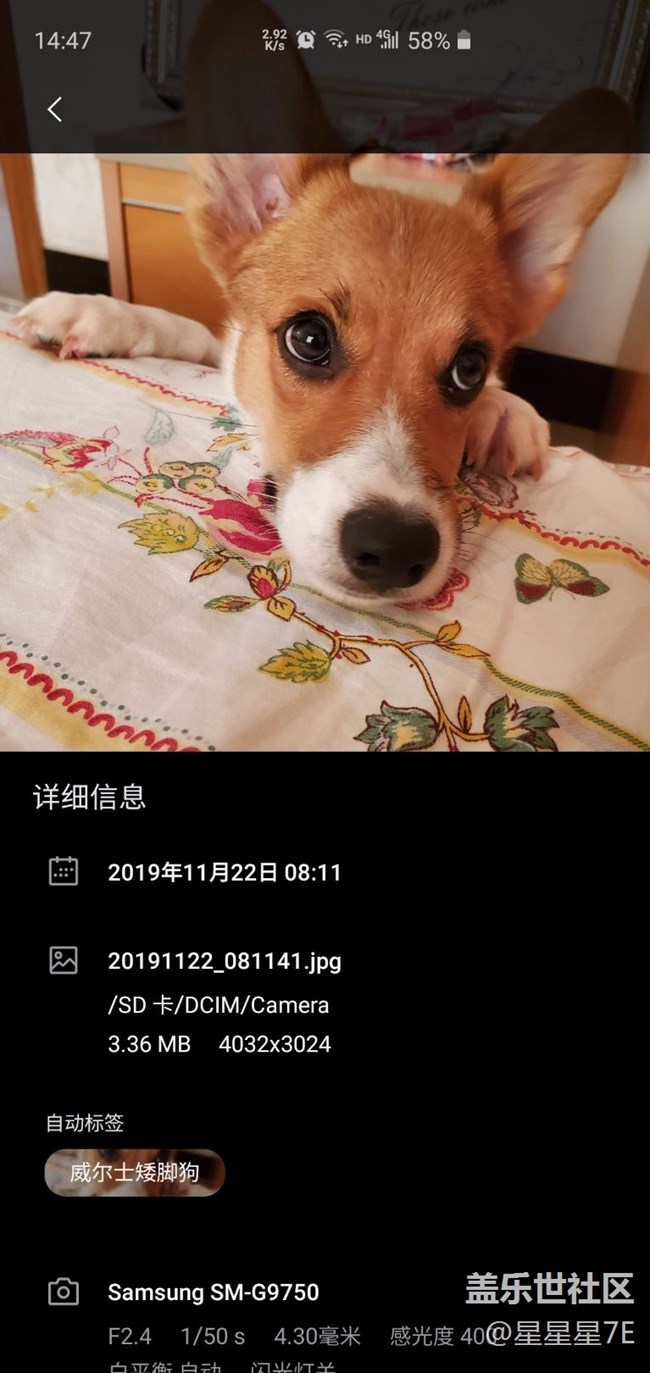 三星相冊厲害啊