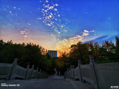 三星NOTE10+隨手拍拍