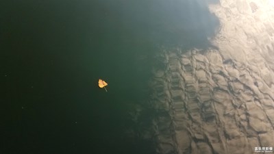 【倒影】+橋和河的一天