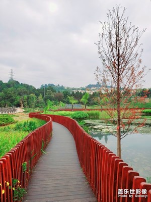 來(lái)呀，一起隨手拍，我還是覺(jué)得三星色彩沒(méi)有蘋(píng)果真實(shí)