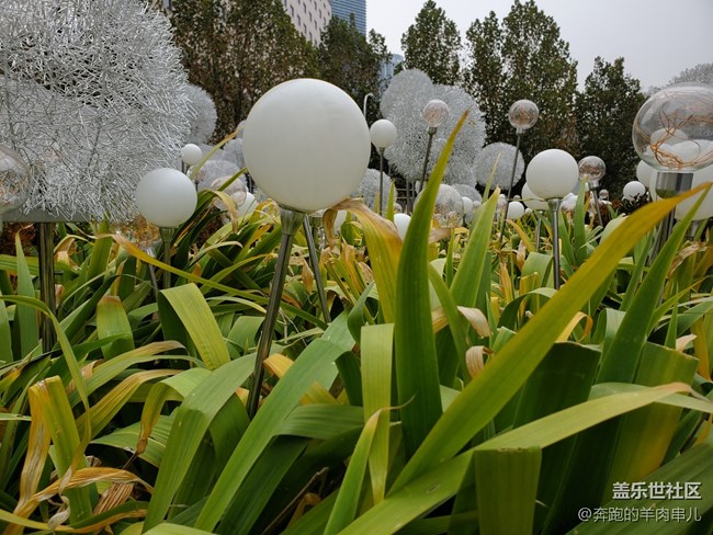 或許是你今年最期待的折疊屏手機三星W20 5G體驗 或許是你今年最期待的折疊屏手機三星W20 5G體驗
