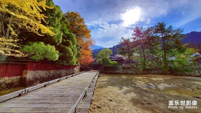 新機(jī)試拍