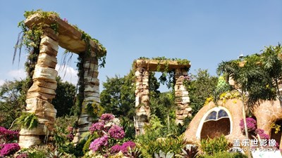 勒杜鵑花展，置身于花的海洋