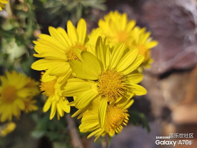 唯美中端佼佼者之初識Galaxy A70s