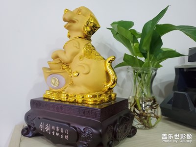狗年的招財(cái)狗