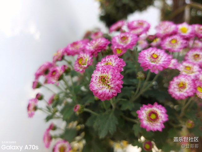 唯美中端佼佼者之初識Galaxy A70s