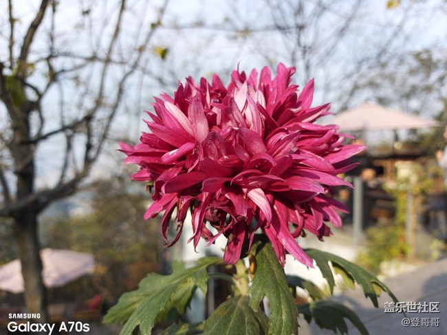 唯美中端佼佼者之初識Galaxy A70s