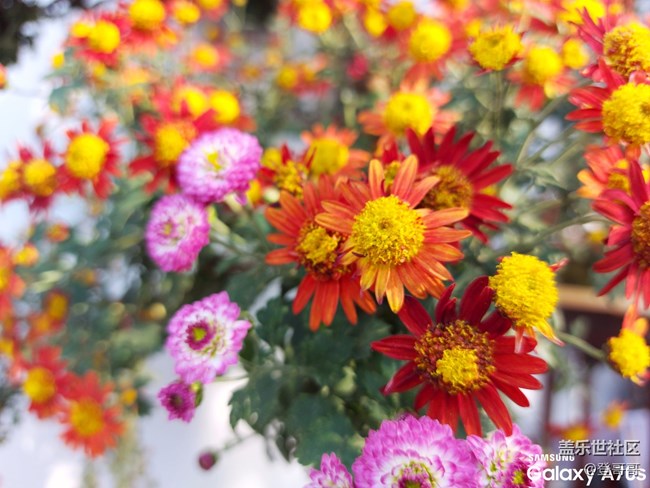 唯美中端佼佼者之初識Galaxy A70s