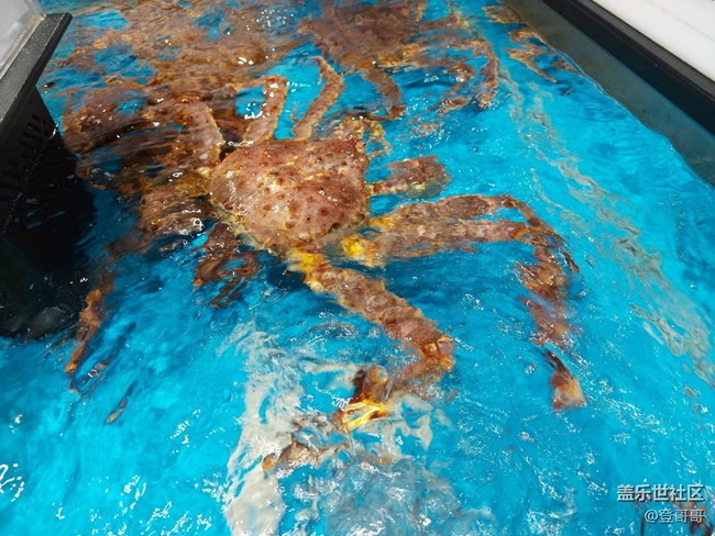 唯美中端佼佼者之初識Galaxy A70s