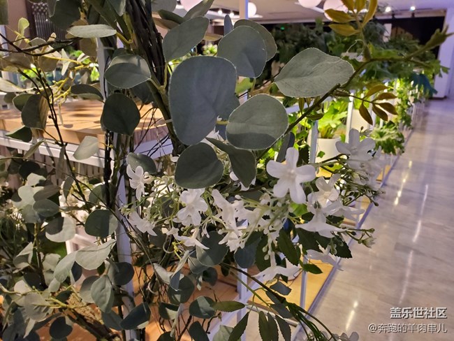 或許是你今年最期待的折疊屏手機三星W20 5G體驗 或許是你今年最期待的折疊屏手機三星W20 5G體驗