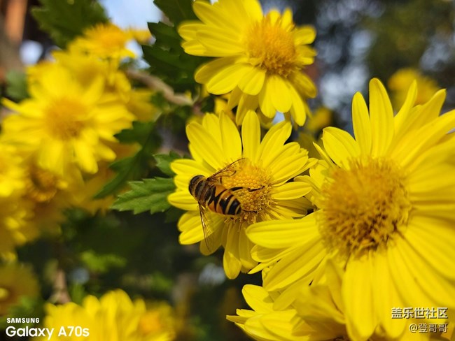 唯美中端佼佼者之初識Galaxy A70s