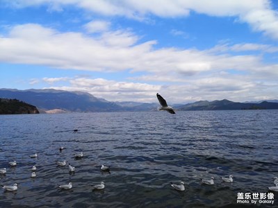 瀘沽湖