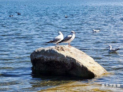 云南之行瀘沽湖第三日