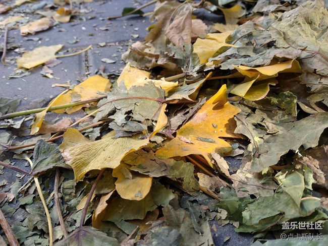 千元超廣角 三星A20s將視界盡收眼底