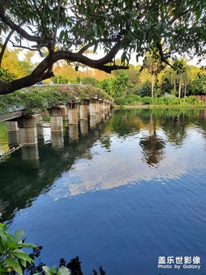 小橋湖水