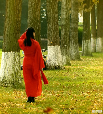 【享拍一刻】+漫步金色路